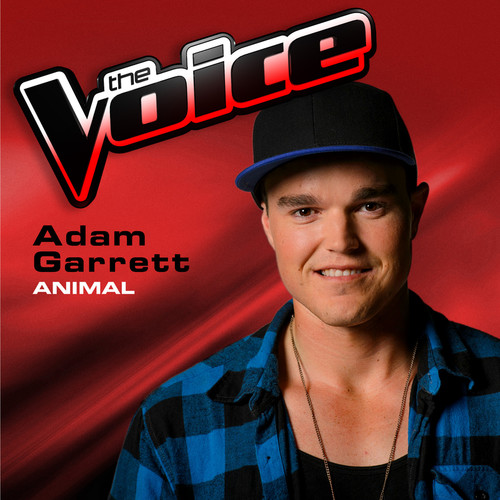 Animal (The Voice 2013 Performance)