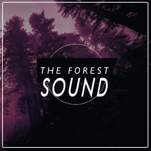 The Forest Sound