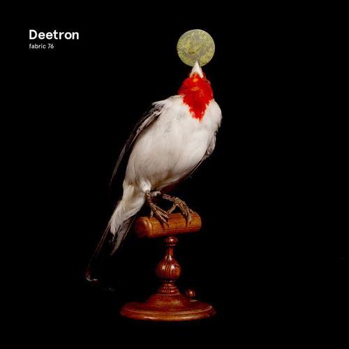 Fabric: 76 Deetron