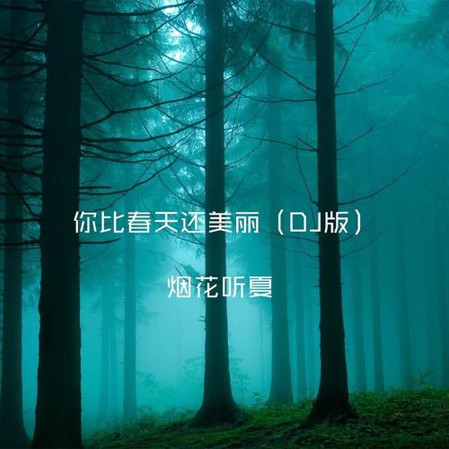你比春天还美丽（DJ版）