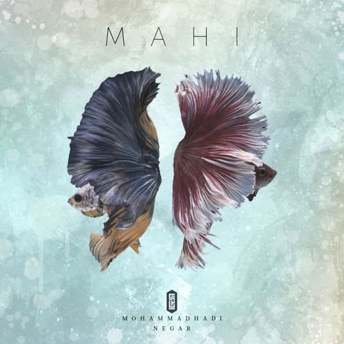 Mahi (feat. Mohamad Hadi) [with Negar 2paMIN]