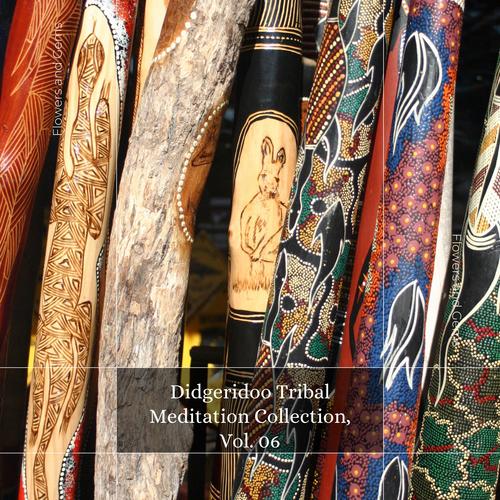 Didgeridoo Tribal Meditation Collection, Vol. 06