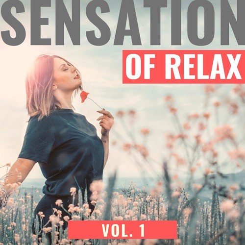 Sensation of Relax, Vol.1