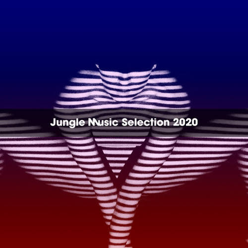 Jungle Music Selection 2020