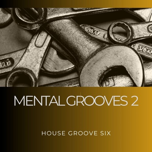 Mental Grooves 2