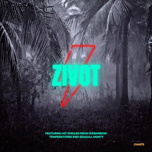 Zivot (Instrumental)
