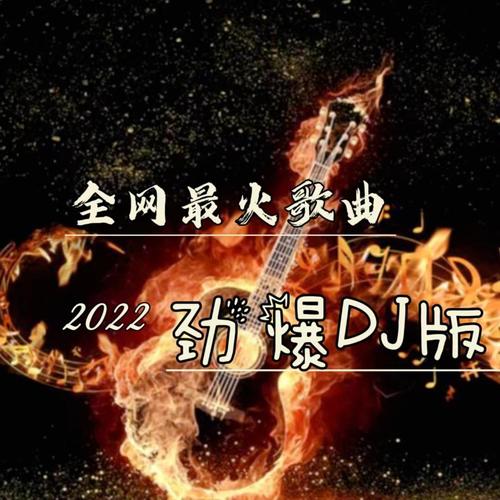 2022全网最火歌曲|劲爆DJ版