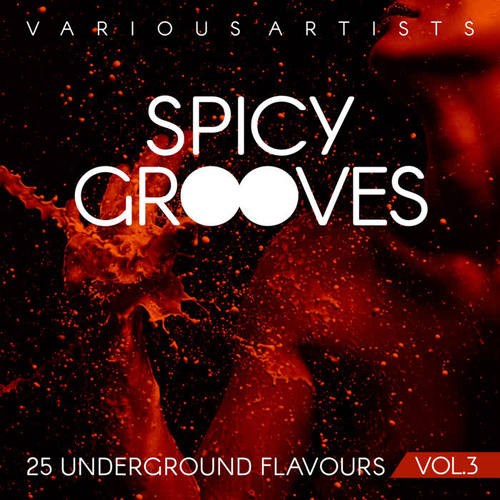 Spicy Grooves (25 Underground Flavours) , Vol. 3