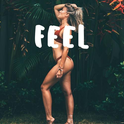 Feel (feat. Shaan, Amit Trivedi & Sonu Nigam)