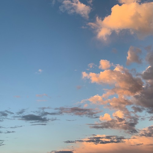Dreams of Ascension