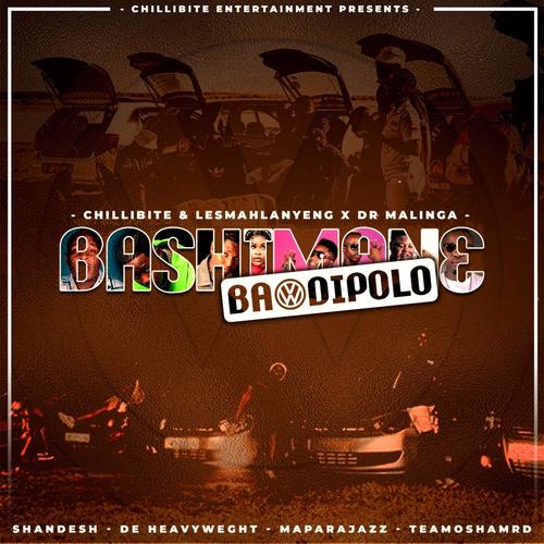 Bashimane Ba Di Polo (feat. Shandesh, Mapara A Jazz, Teammosha MRD & De Heavyweight)