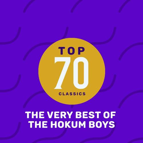 Top 65 Classics - The Very Best of The Hokum Boys