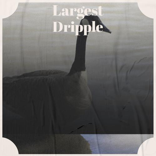 Largest Dripple