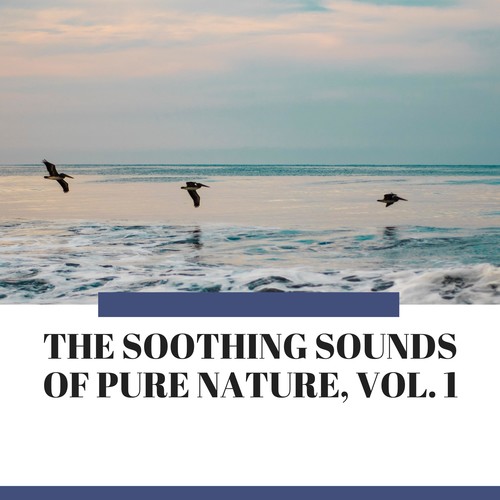 The Soothing Sounds of Pure Nature, Vol. 1