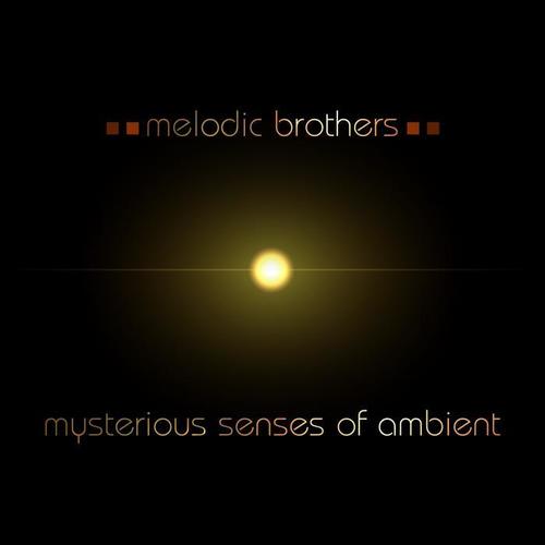 Mysterious Senses of Ambient