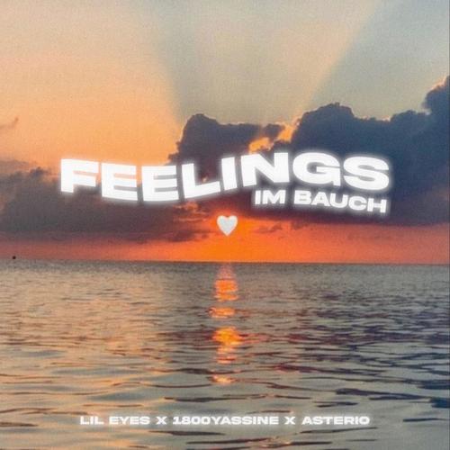 feelings im bauch (Explicit)