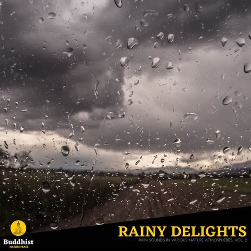 Rainy Delights - Rain Sounds in various Nature Atmospheres, Vol. 2