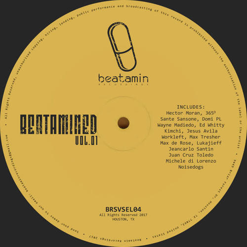 Beatamined, Vol. 1