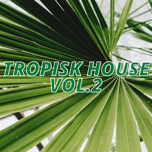 Tropisk House Vol.2