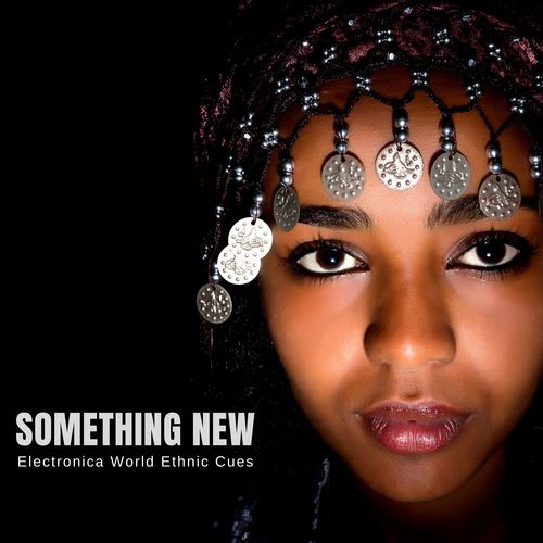 Something New - Electronica World Ethnic Cues