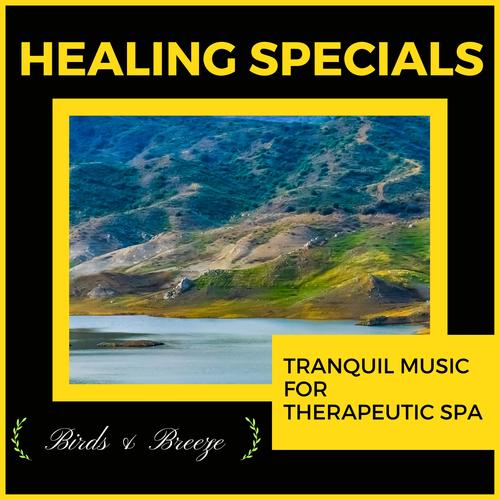 Healing Specials - Tranquil Music For Therapeutic Spa