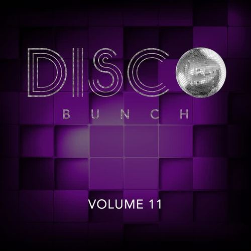 Disco Bunch, Vol. 11