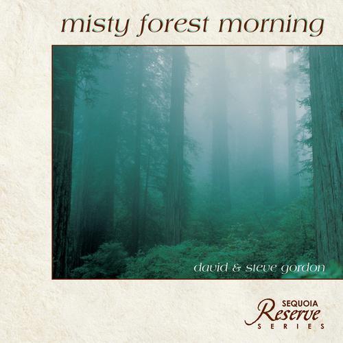 Misty Forest Morning