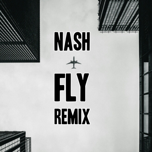 Fly (Remix)