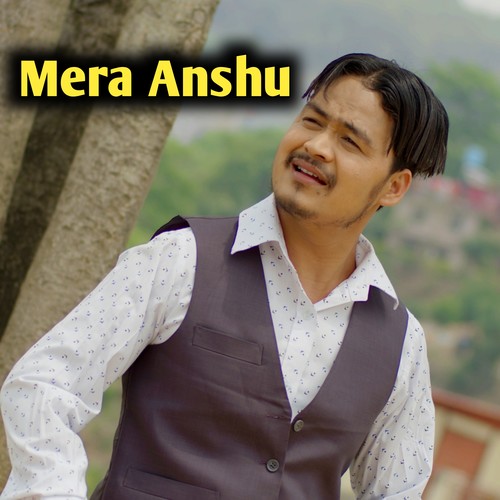 Mera Anshu