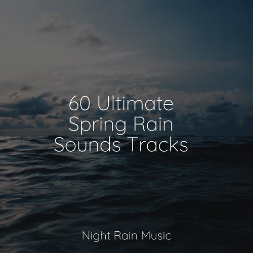 60 Ultimate Spring Rain Sounds Tracks