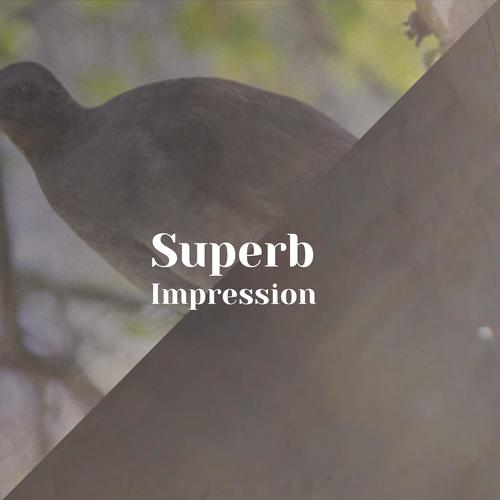 Superb Impression