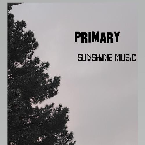 Primary (Explicit)