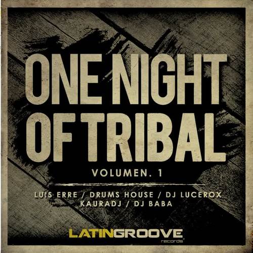 VA One Night Of Tribal, Vol.1