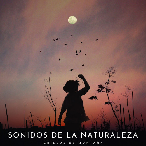 Sonidos De La Naturaleza: Grillos De Montaña