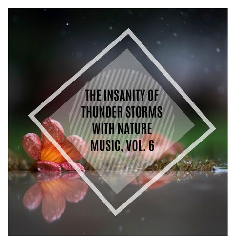 The Insanity of Thunder Storms with Nature Music, Vol. 6