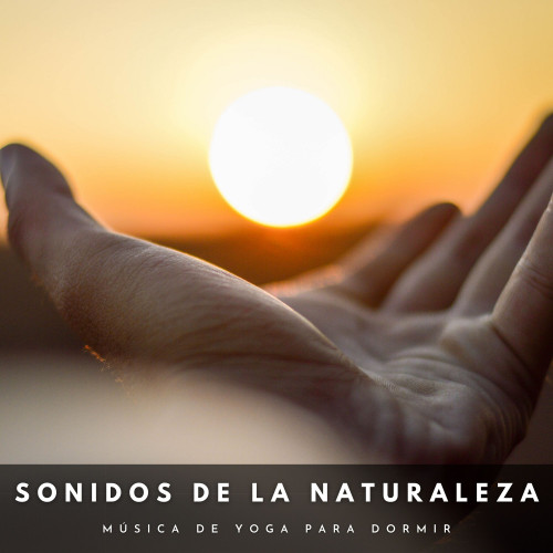 Sonidos De La Naturaleza: Música De Yoga Para Dormir