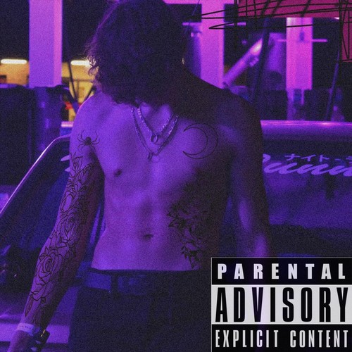 Words I Should've Said (feat. Luhmoon) [Explicit]