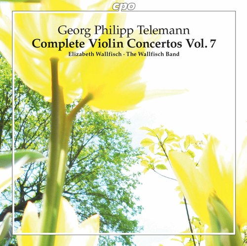 Telemann: Complete Violin Concertos, Vol. 7