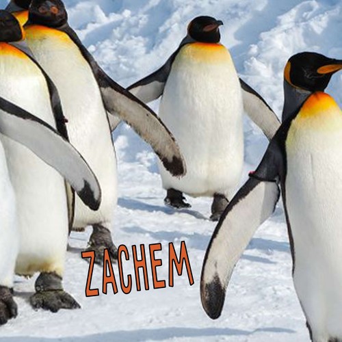 Zachem (Explicit)