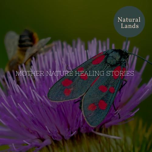 Mother Nature Healing Stories