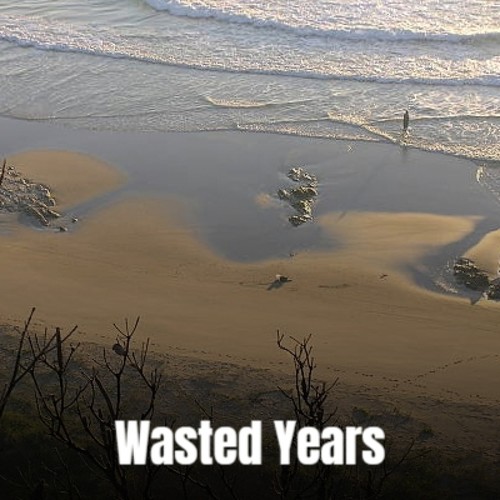 Wasted Years