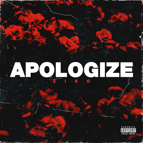 Apologize (Explicit)