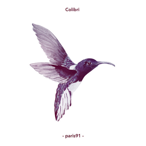 Colibri