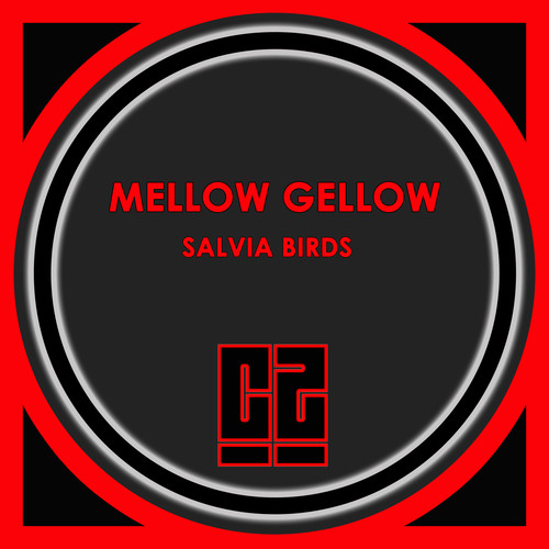 Salvia Birds