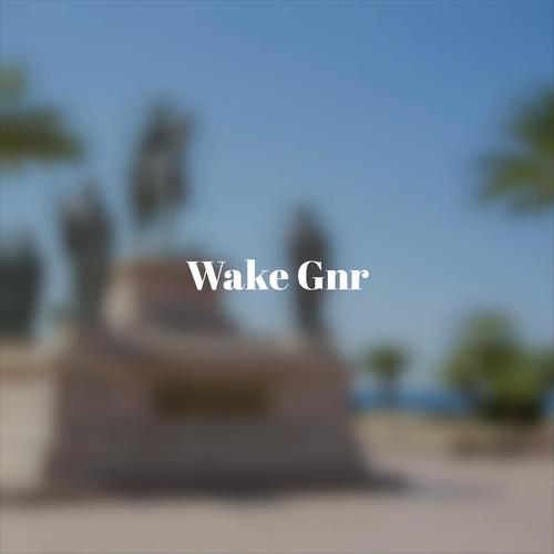 Wake Gnr