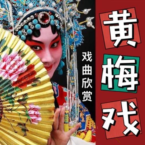 黄梅戏丨传统地方戏曲