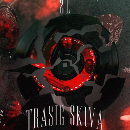 TRASIG SKIVA