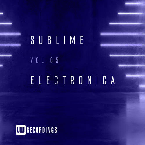 Sublime Electronica, Vol. 05