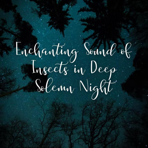 Enchanting Sound of Insects in Deep Solemn Night - 2 Hours