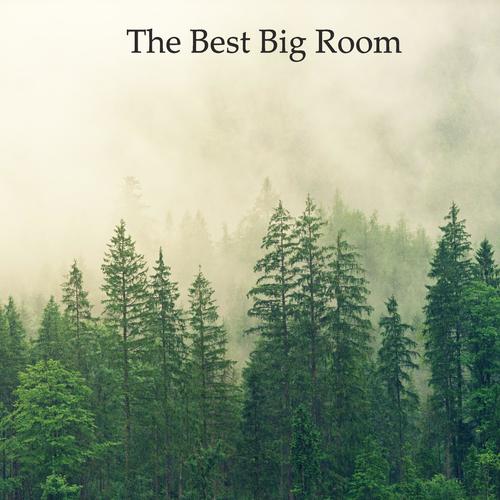 The Best Big Room Pt.007